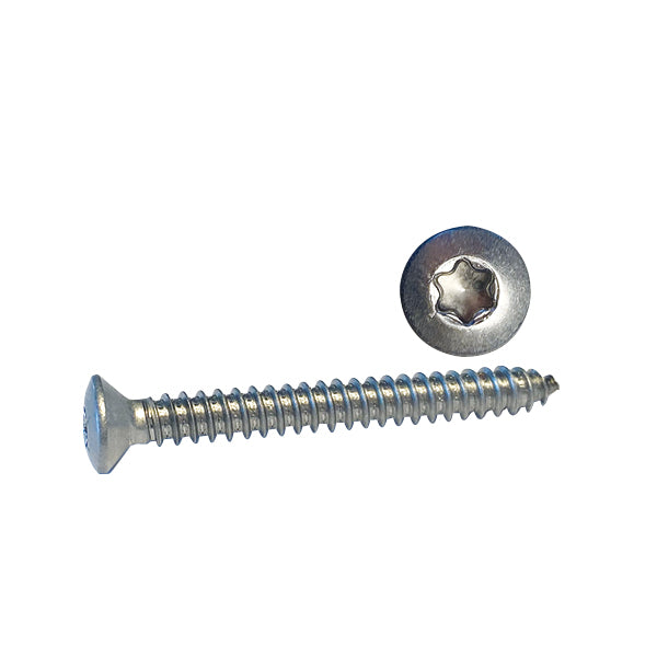 Skrue Linsehoved 4,2 x 38 A4 Torx ISO 14587 for bådmontering