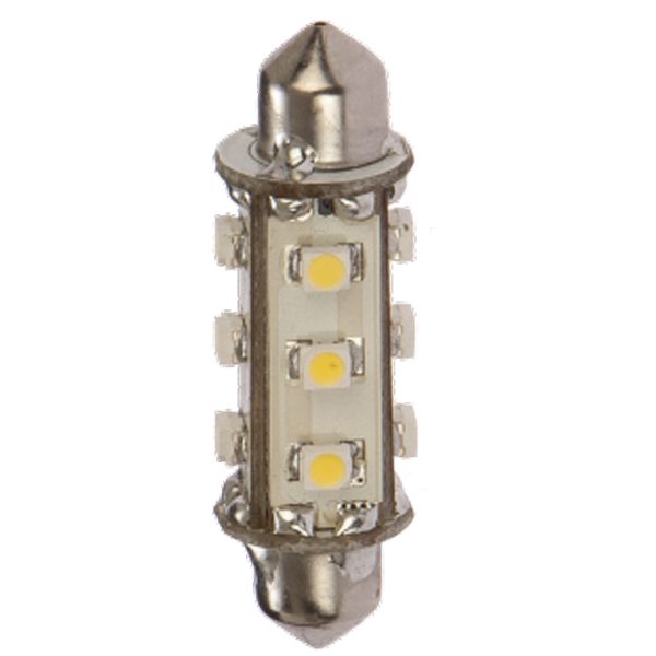 Nautecled pinolpære i dimensionsstørrelse 42mm, tilsluttet et 12 V-system.